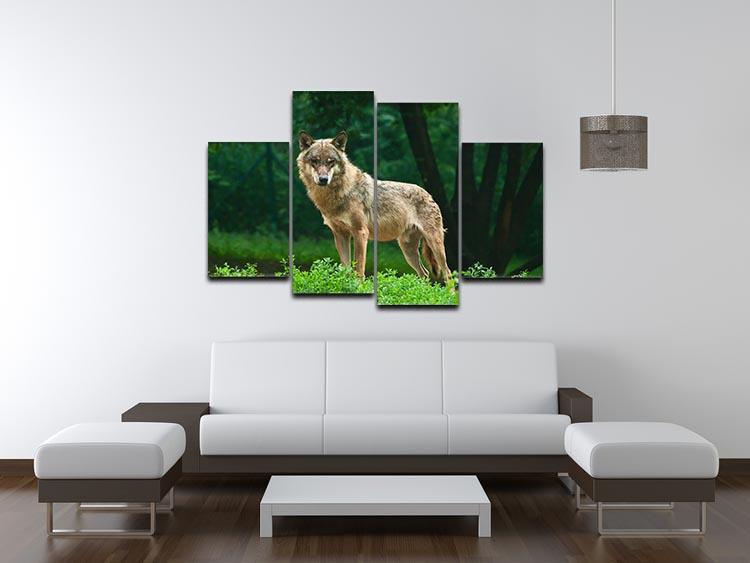 One wolf standing on green hill 4 Split Panel Canvas - Canvas Art Rocks - 3