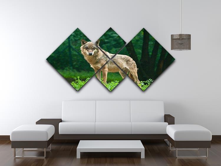 One wolf standing on green hill 4 Square Multi Panel Canvas - Canvas Art Rocks - 3