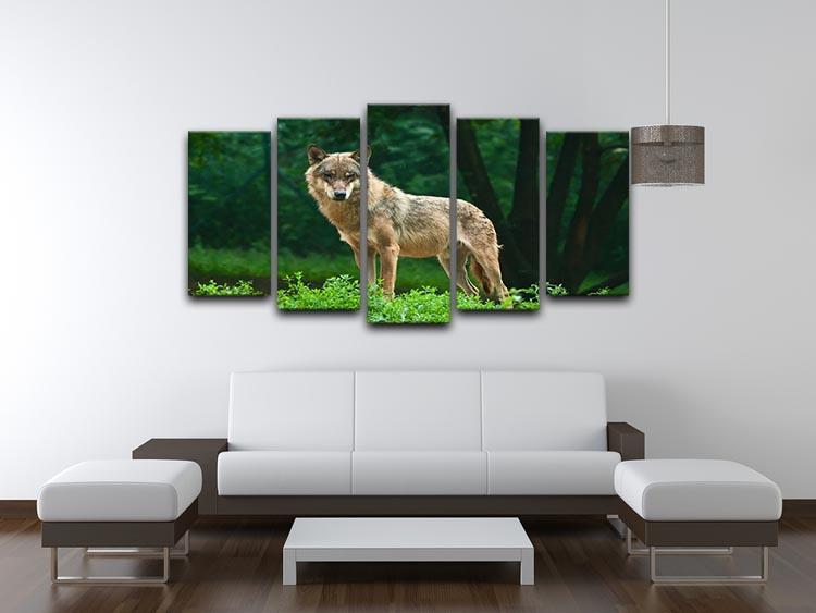 One wolf standing on green hill 5 Split Panel Canvas - Canvas Art Rocks - 3