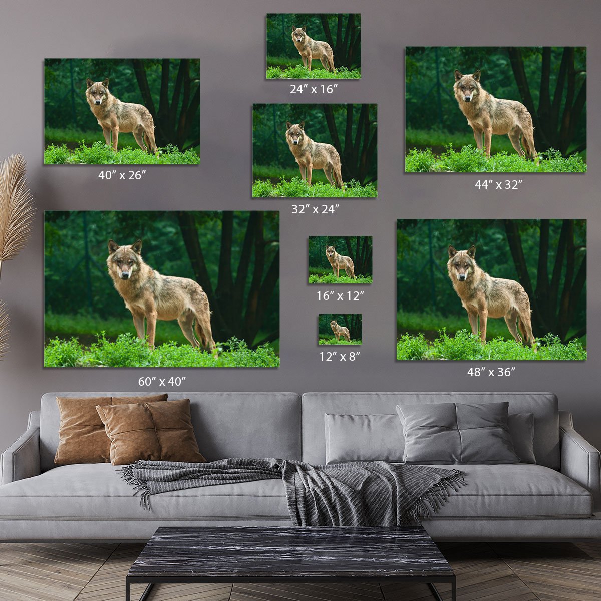 One wolf standing on green hill Canvas Print or Poster