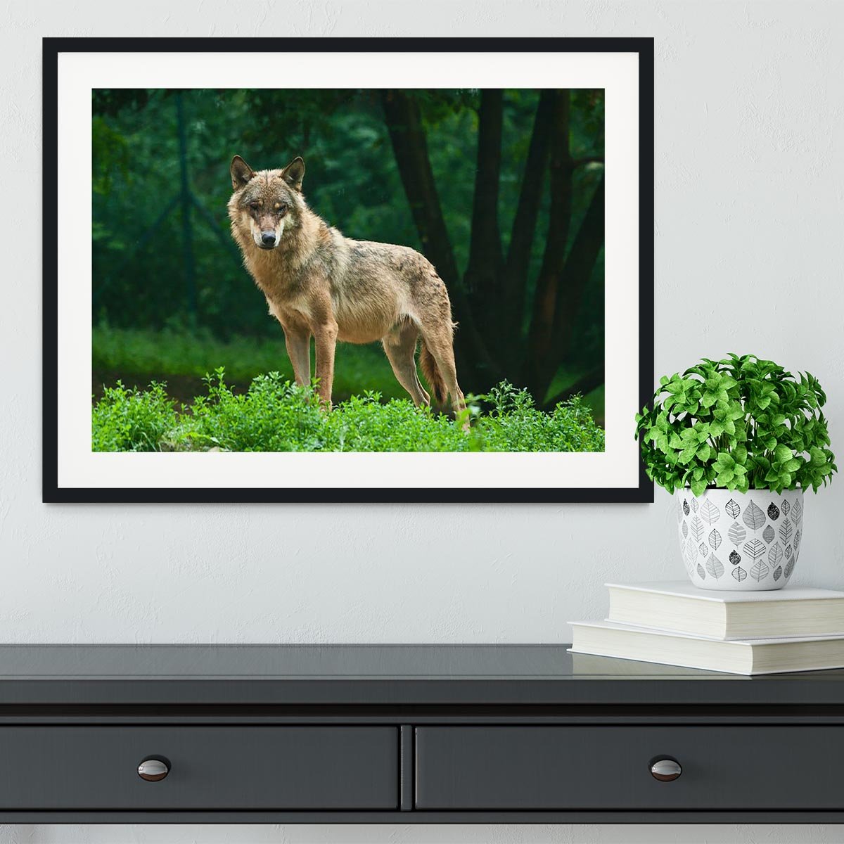 One wolf standing on green hill Framed Print - Canvas Art Rocks - 1