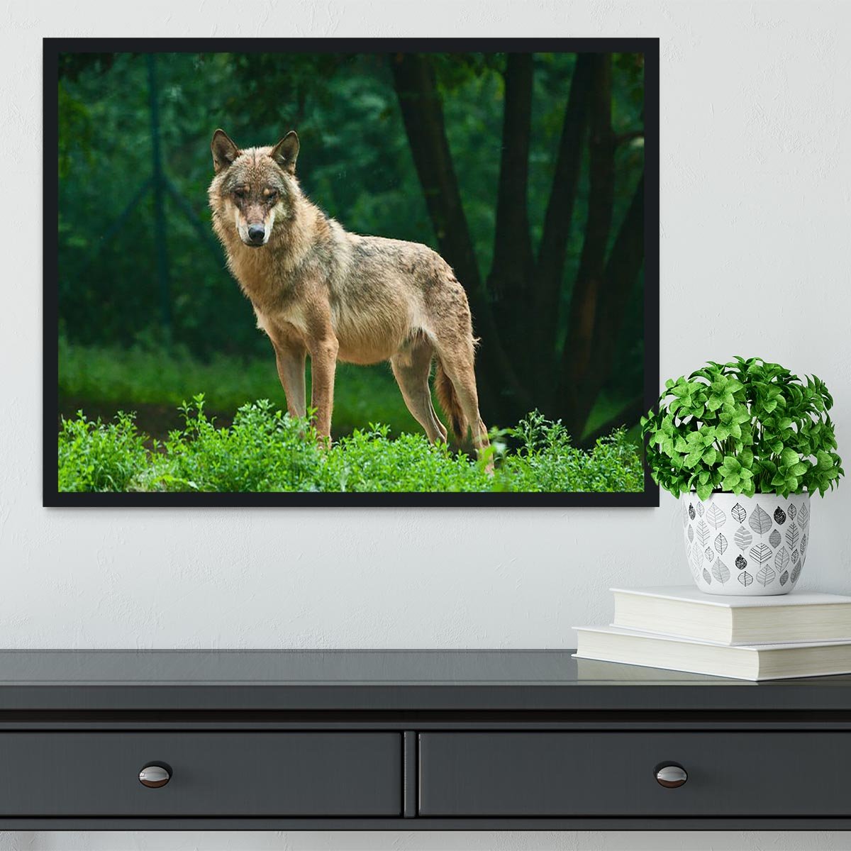 One wolf standing on green hill Framed Print - Canvas Art Rocks - 2