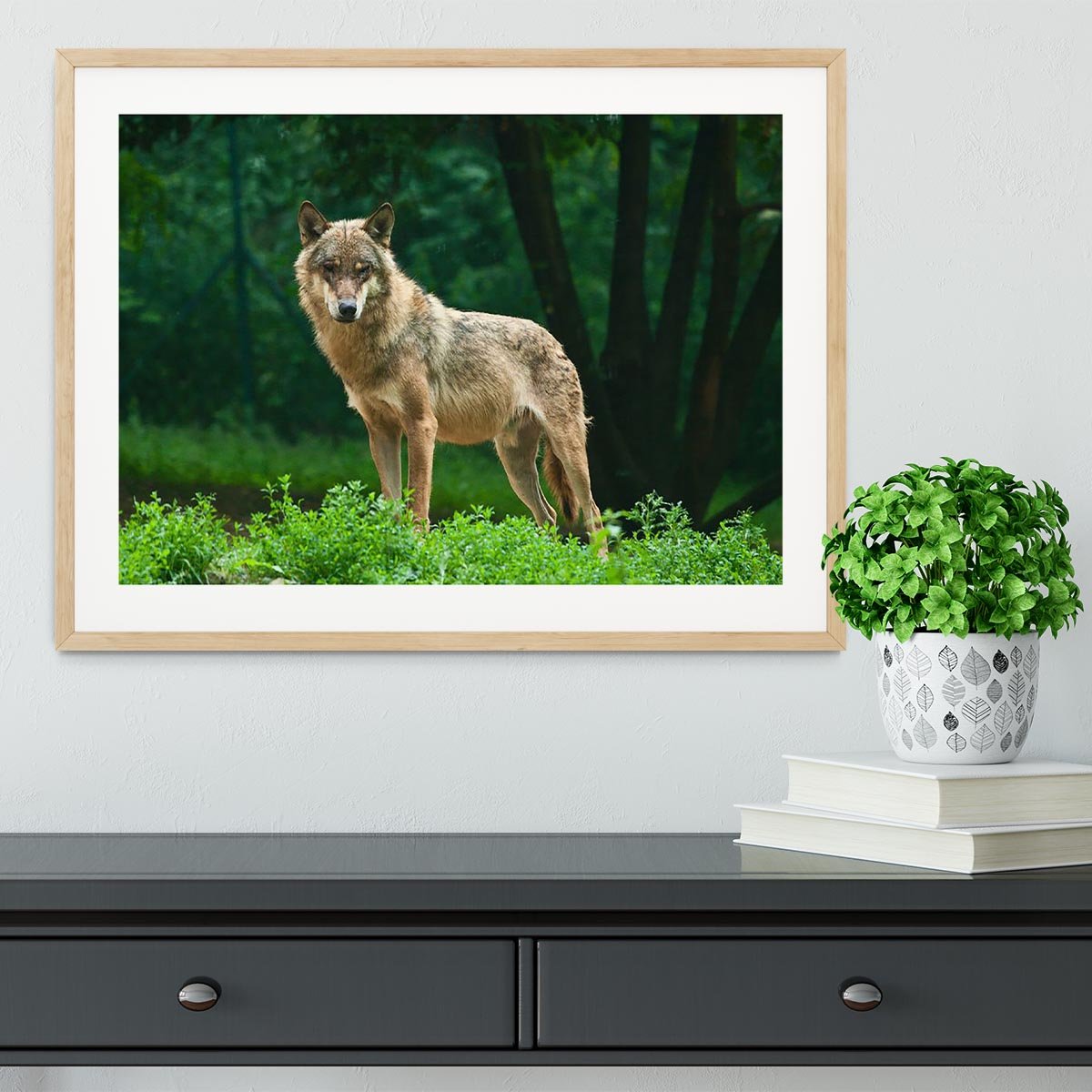 One wolf standing on green hill Framed Print - Canvas Art Rocks - 3