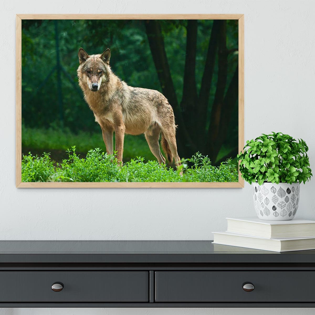 One wolf standing on green hill Framed Print - Canvas Art Rocks - 4
