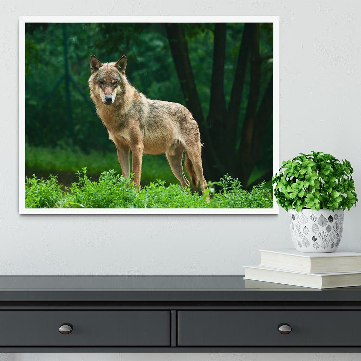 One wolf standing on green hill Framed Print - Canvas Art Rocks -6