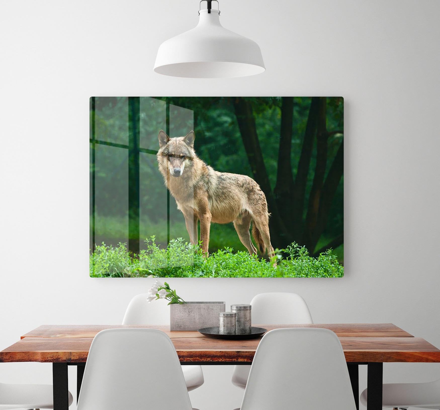 One wolf standing on green hill HD Metal Print - Canvas Art Rocks - 2