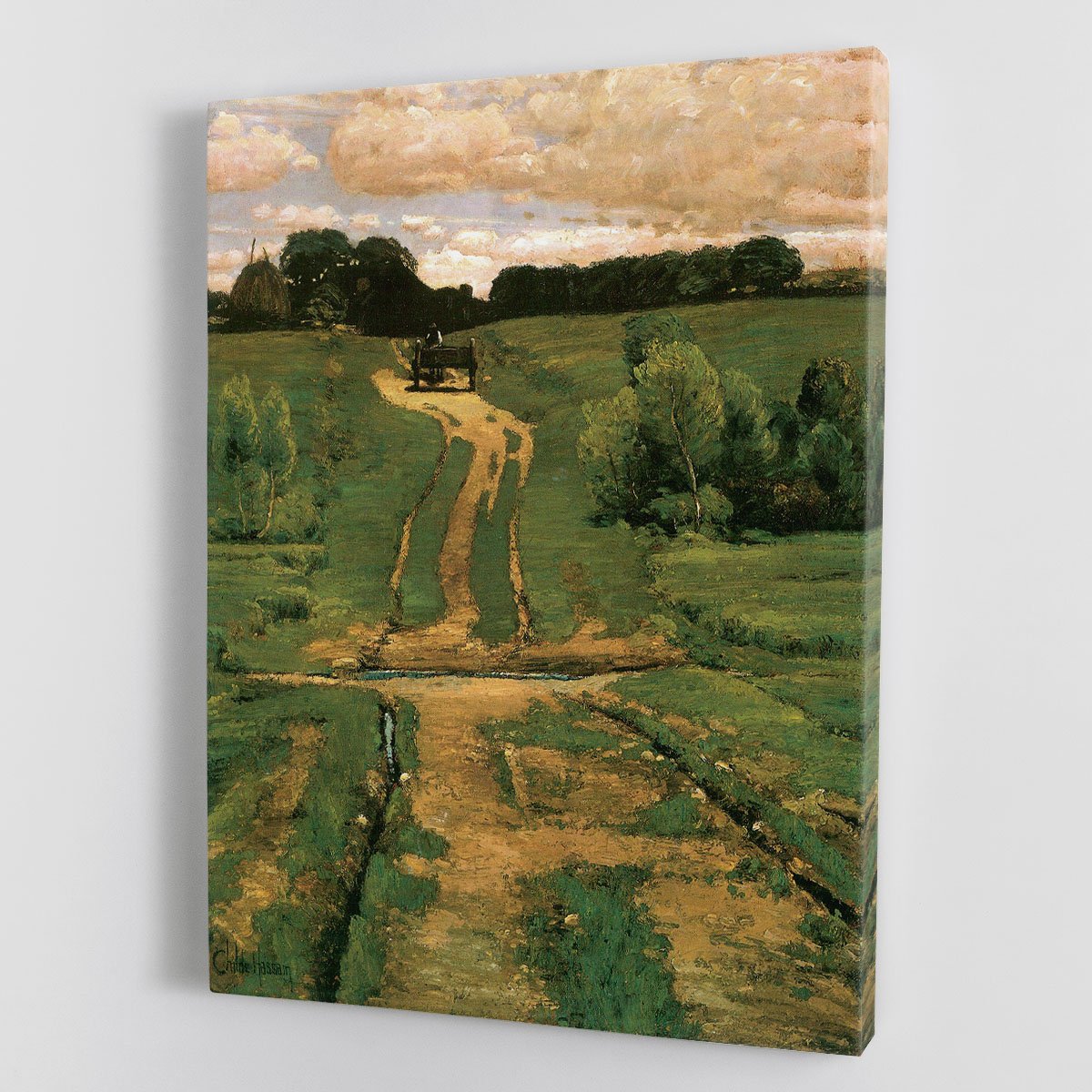 Open land by Hassam Canvas Print or Poster