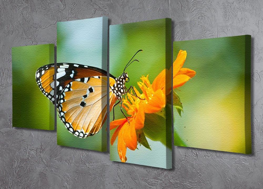 Orange butterfly on flower Thailand. 4 Split Panel Canvas - Canvas Art Rocks - 2