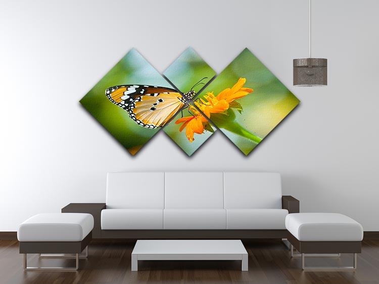 Orange butterfly on flower Thailand. 4 Square Multi Panel Canvas - Canvas Art Rocks - 3
