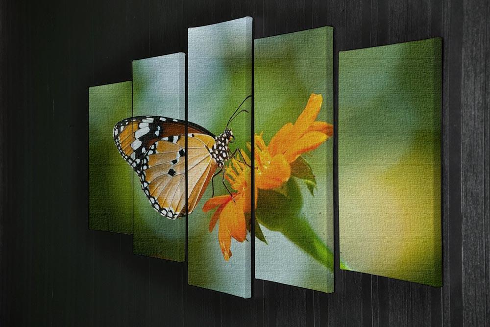 Orange butterfly on flower Thailand. 5 Split Panel Canvas - Canvas Art Rocks - 2
