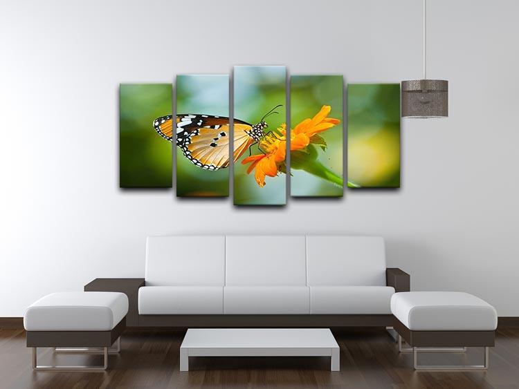 Orange butterfly on flower Thailand. 5 Split Panel Canvas - Canvas Art Rocks - 3