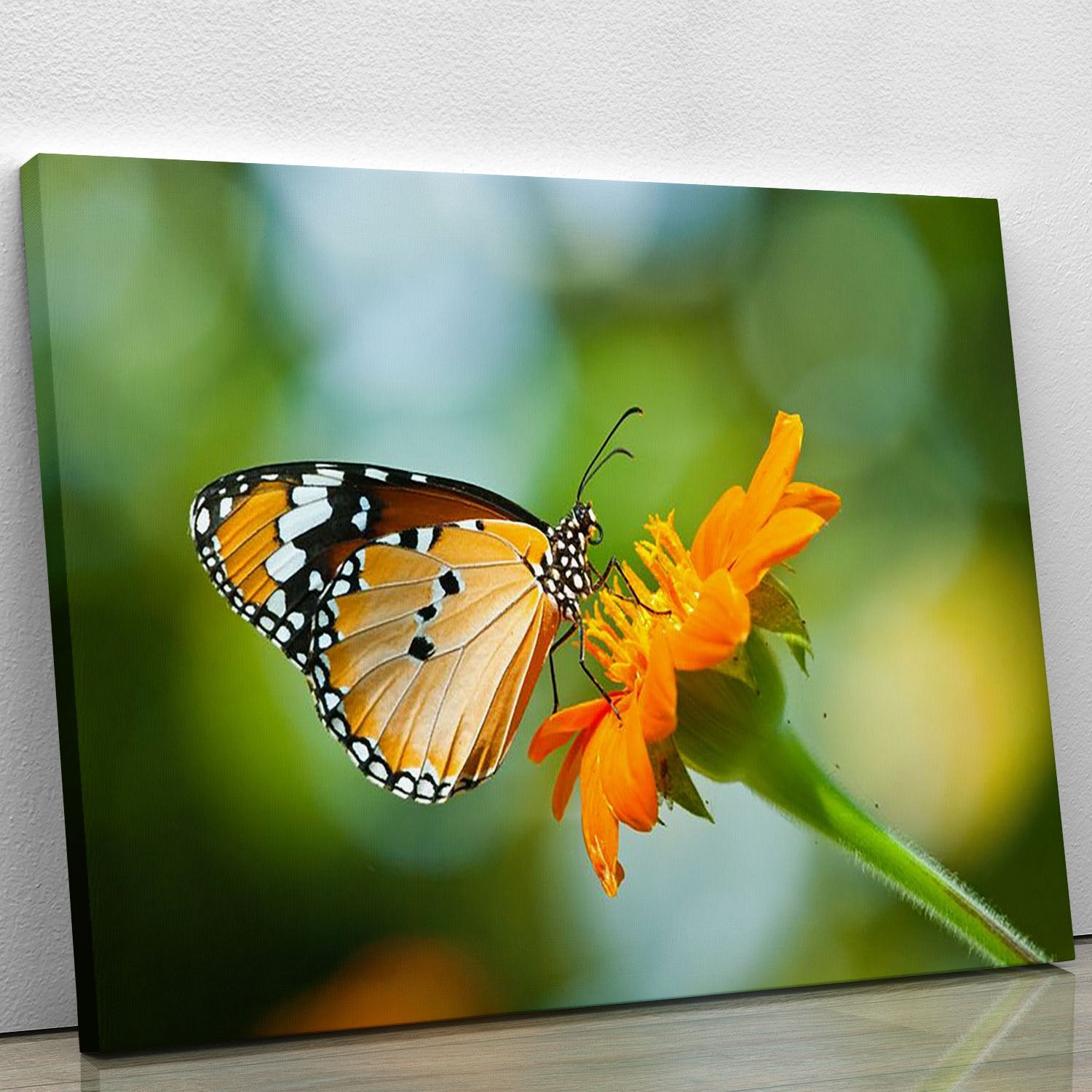 Orange butterfly on flower Thailand. Canvas Print or Poster