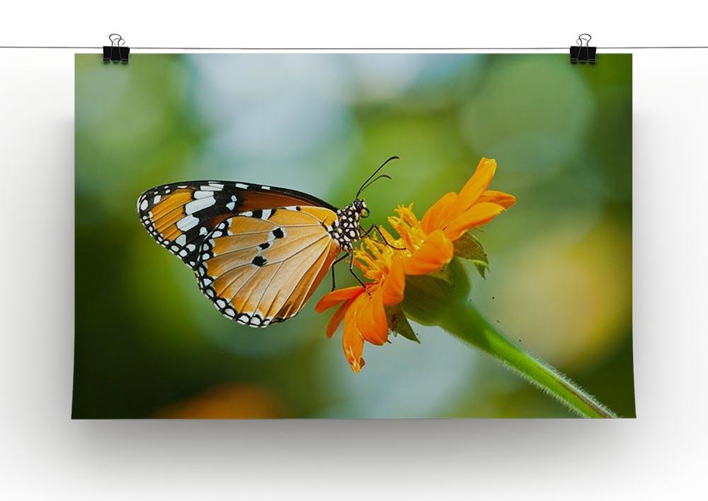 Orange butterfly on flower Thailand. Canvas Print or Poster - Canvas Art Rocks - 2