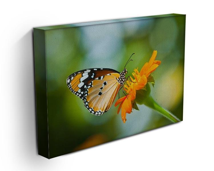 Orange butterfly on flower Thailand. Canvas Print or Poster - Canvas Art Rocks - 3