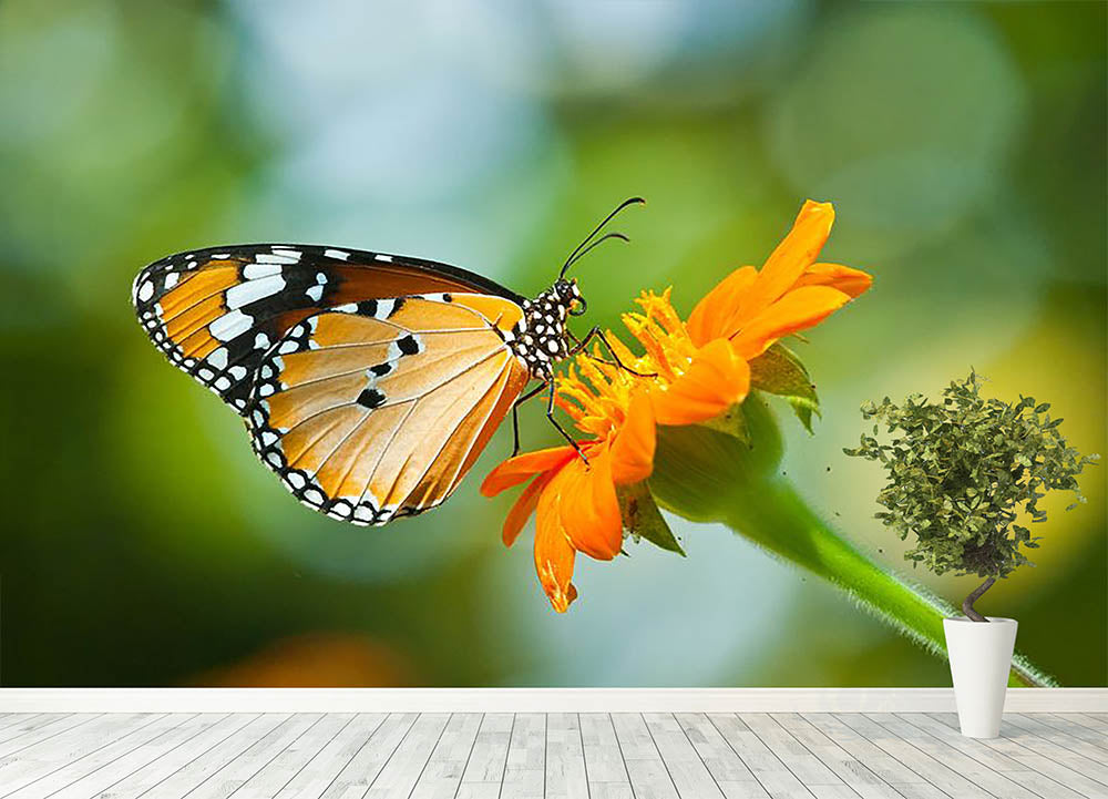 Orange butterfly on flower Thailand. Wall Mural Wallpaper - Canvas Art Rocks - 4