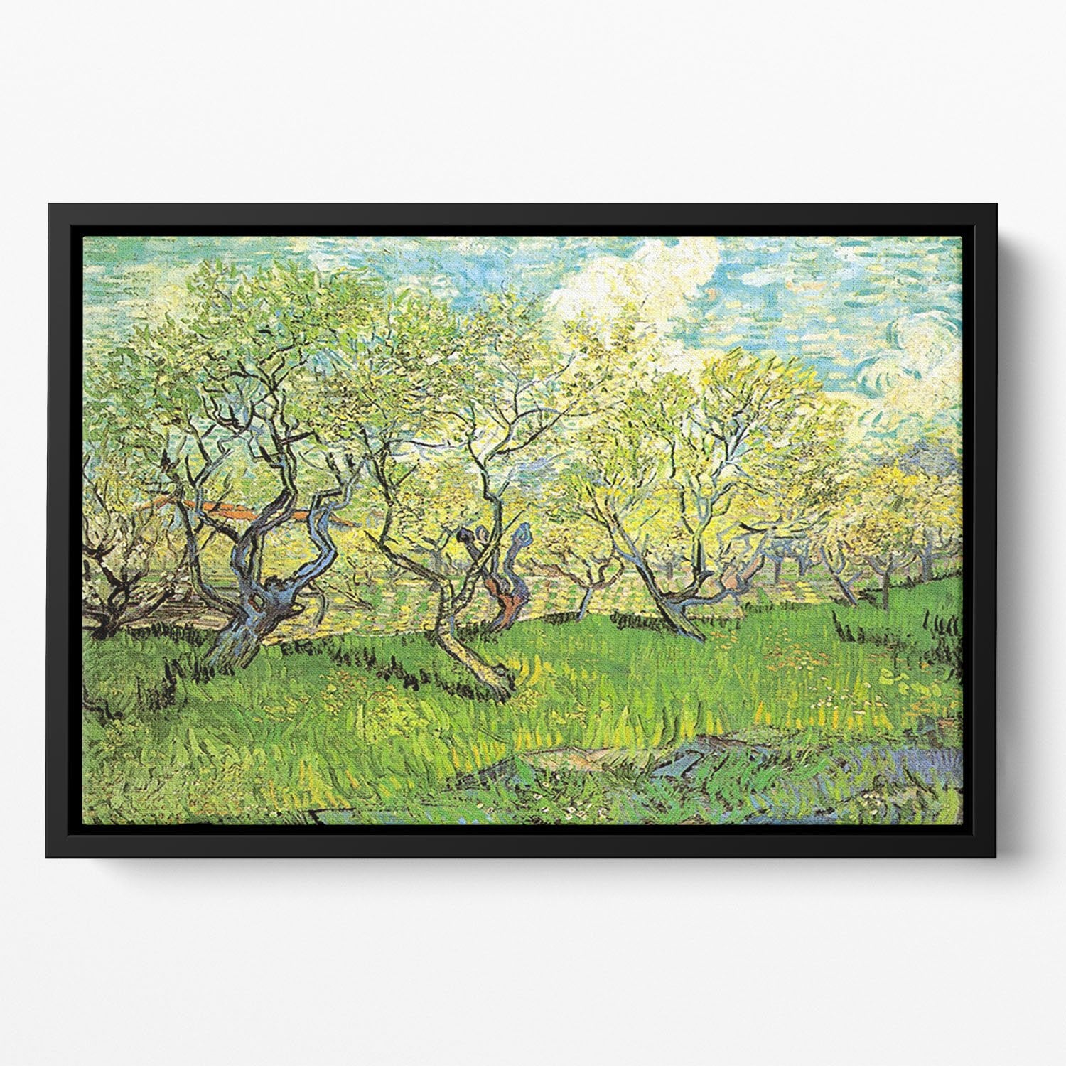 Orchard in Blossom 2 by Van Gogh Floating Framed Canvas