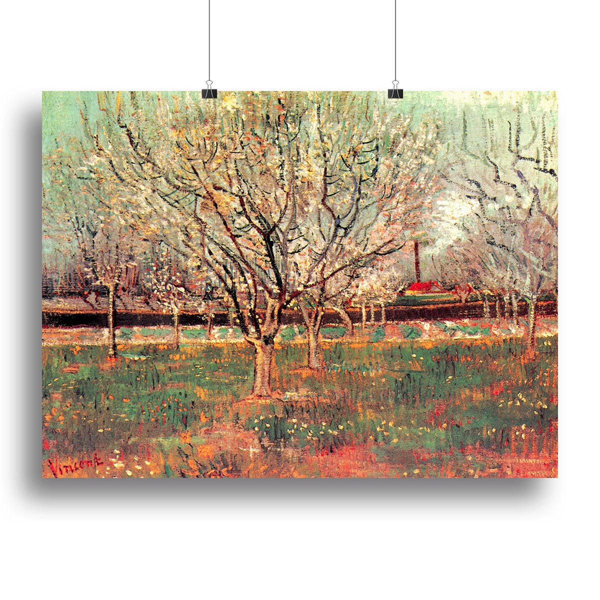 Orchard in Blossom Plum Trees by Van Gogh Canvas Print or Poster