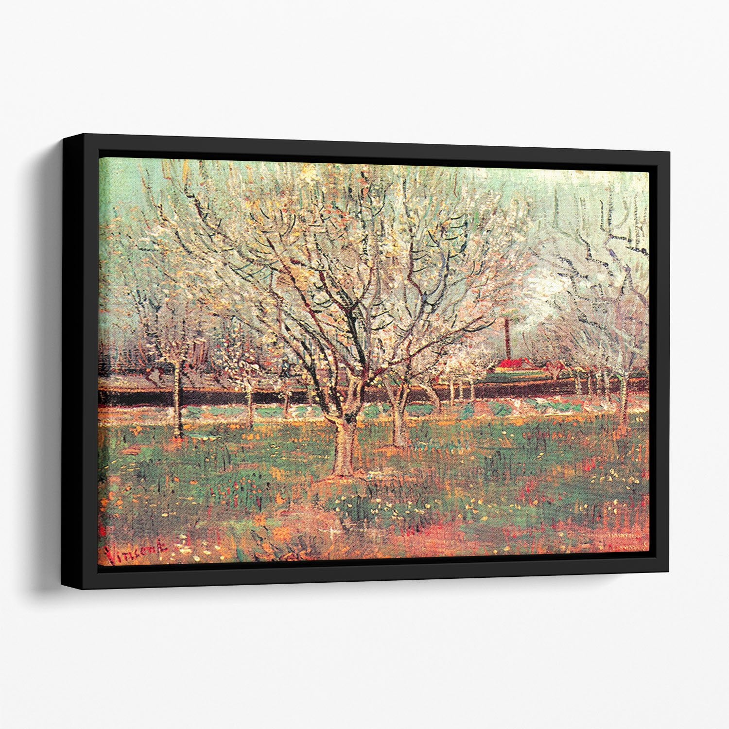Orchard in Blossom Plum Trees by Van Gogh Floating Framed Canvas
