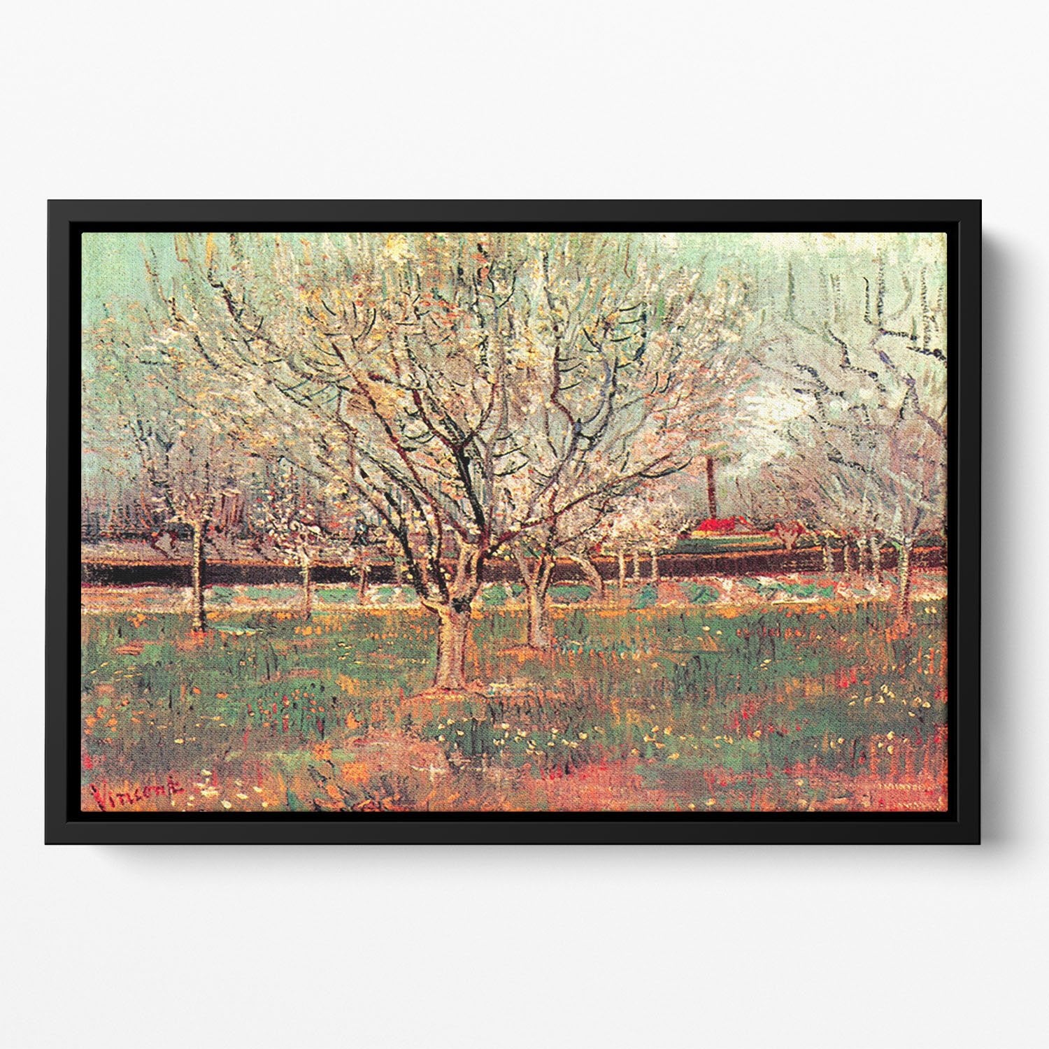 Orchard in Blossom Plum Trees by Van Gogh Floating Framed Canvas