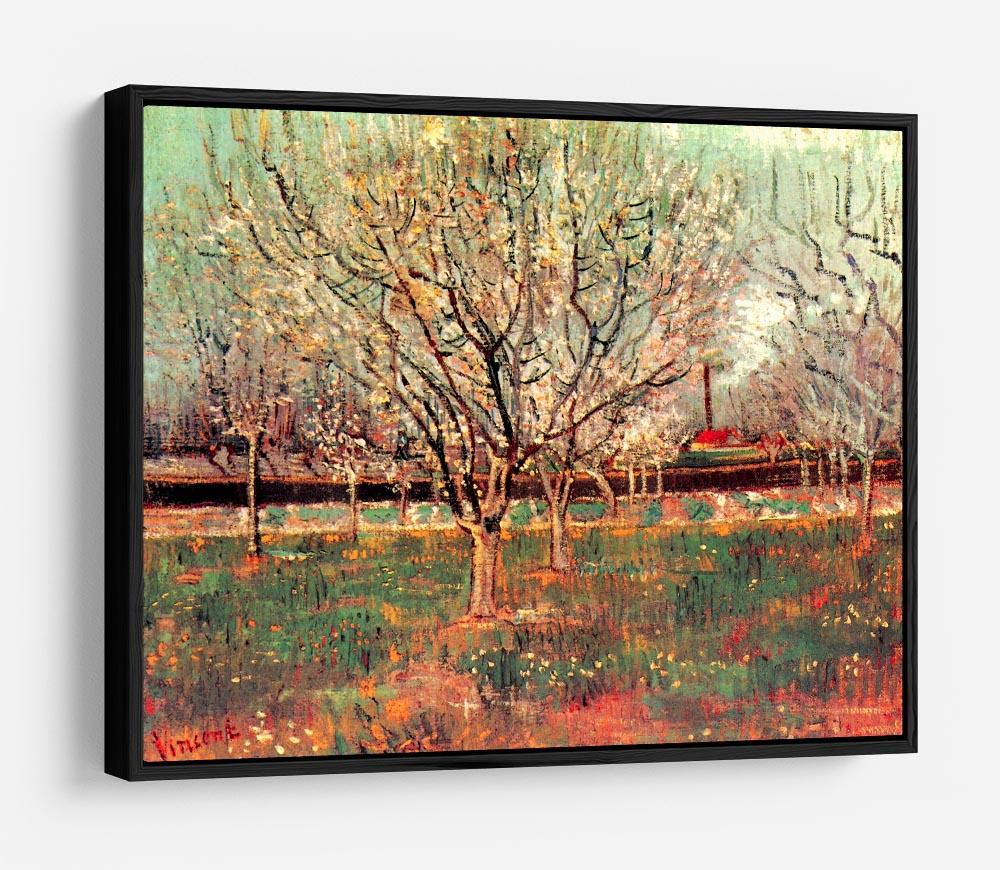 Orchard in Blossom Plum Trees by Van Gogh HD Metal Print