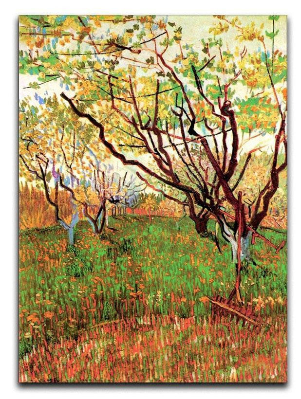 Orchard in Blossom by Van Gogh Canvas Print & Poster  - Canvas Art Rocks - 1