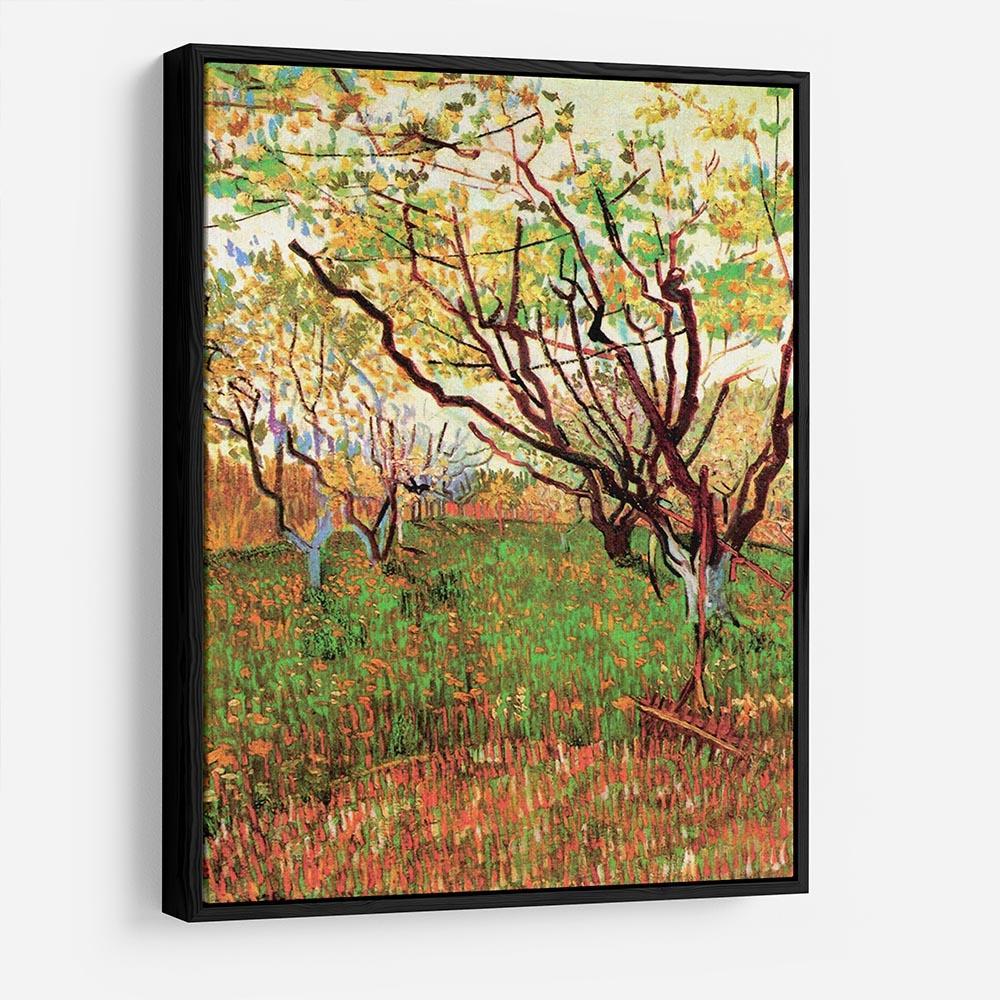 Orchard in Blossom by Van Gogh HD Metal Print