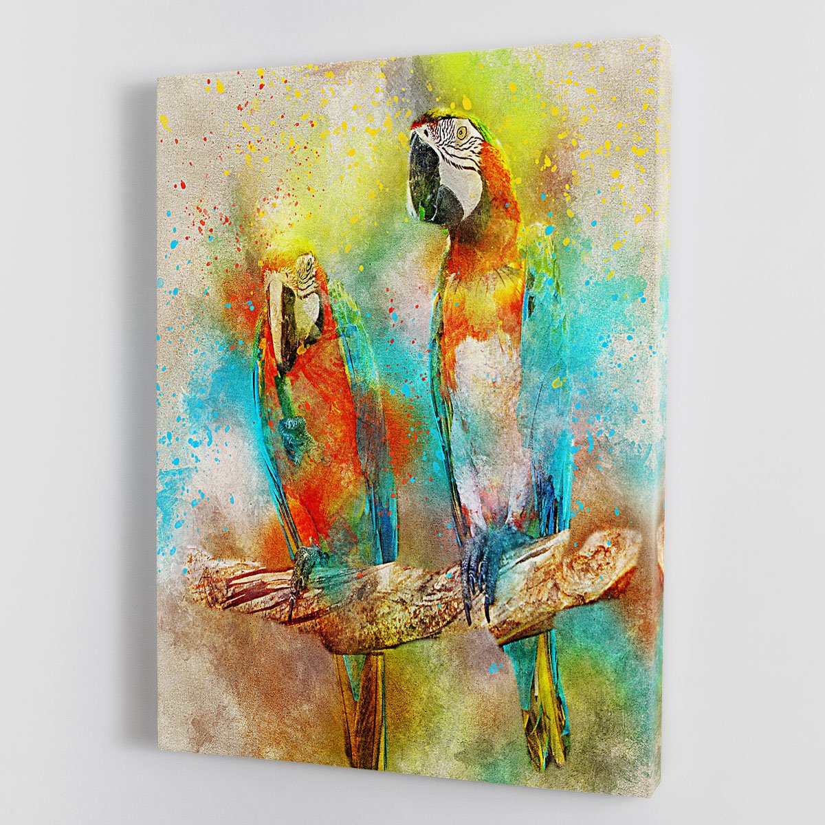 Pair Of Parrots Canvas Print or Poster