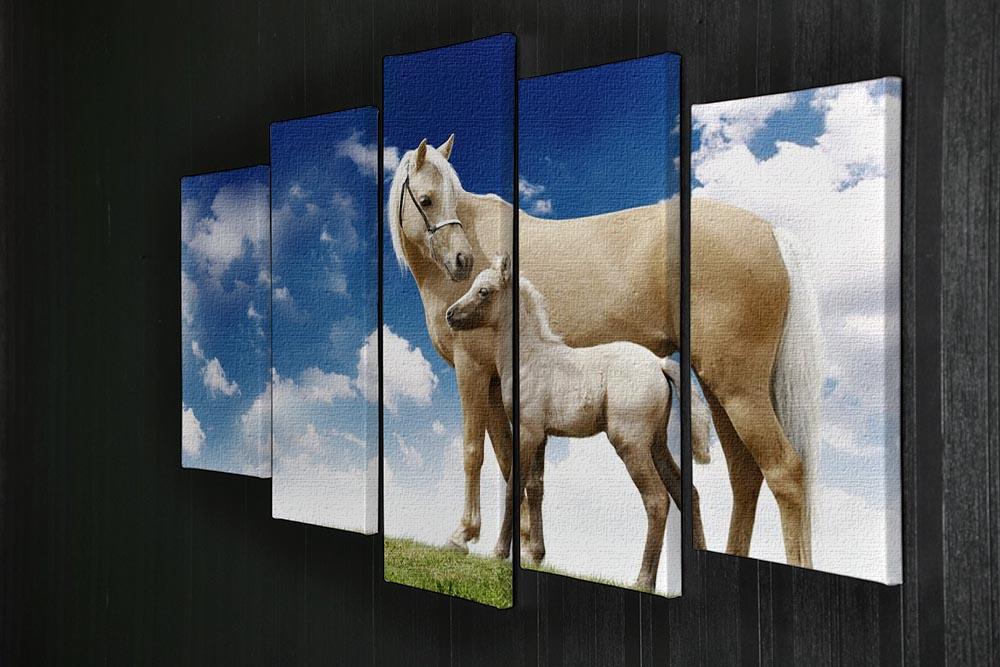 Palomino horses on grey gradient 5 Split Panel Canvas - Canvas Art Rocks - 2