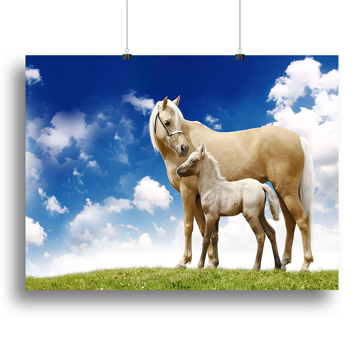 Palomino horses on grey gradient Canvas Print or Poster - Canvas Art Rocks - 2