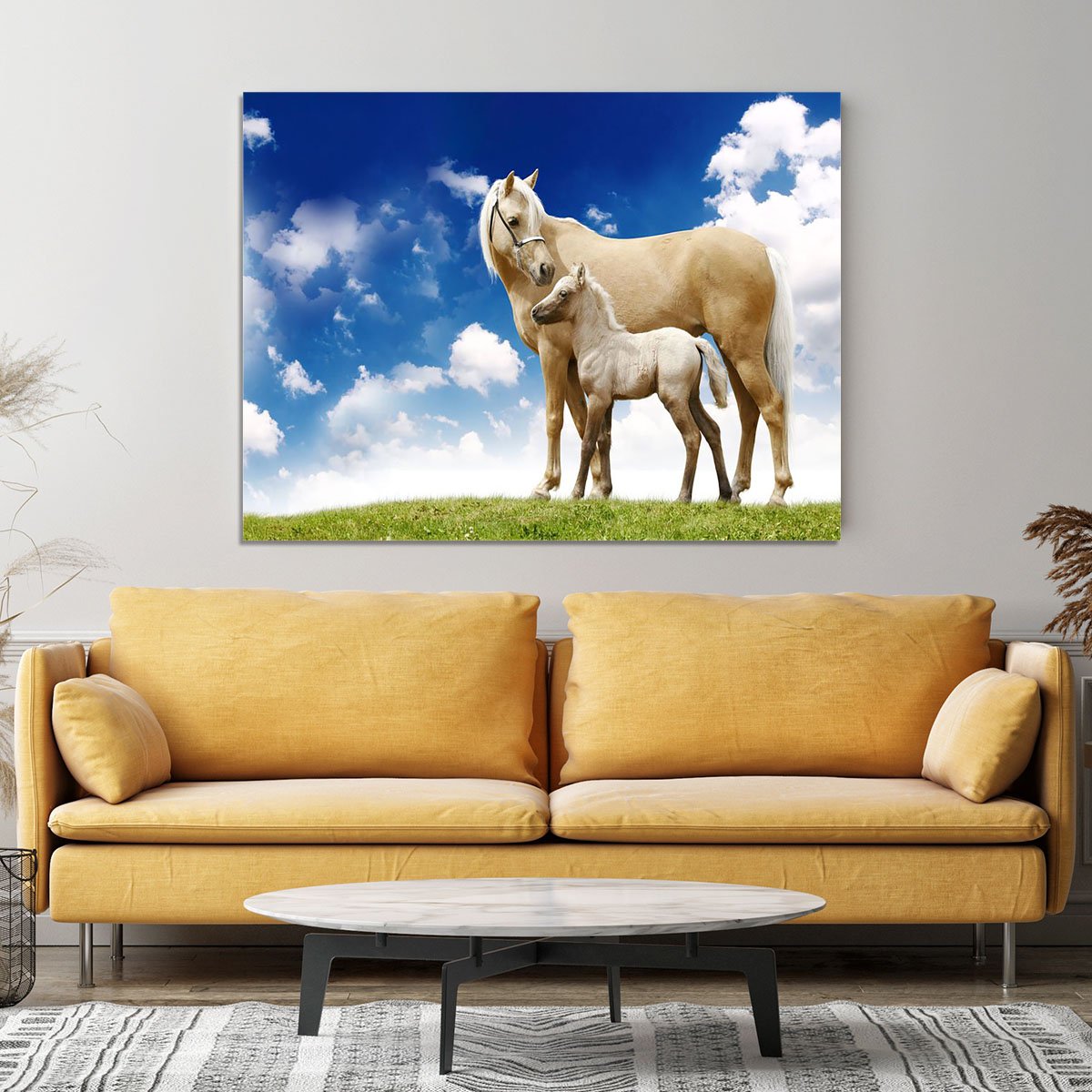 Palomino horses on grey gradient Canvas Print or Poster