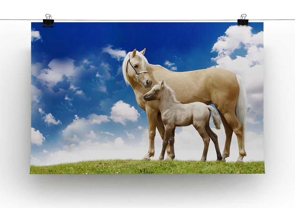 Palomino horses on grey gradient Canvas Print or Poster - Canvas Art Rocks - 2