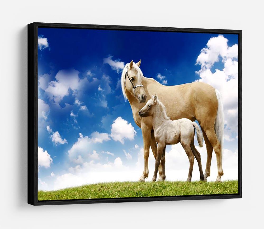 Palomino horses on grey gradient HD Metal Print - Canvas Art Rocks - 6