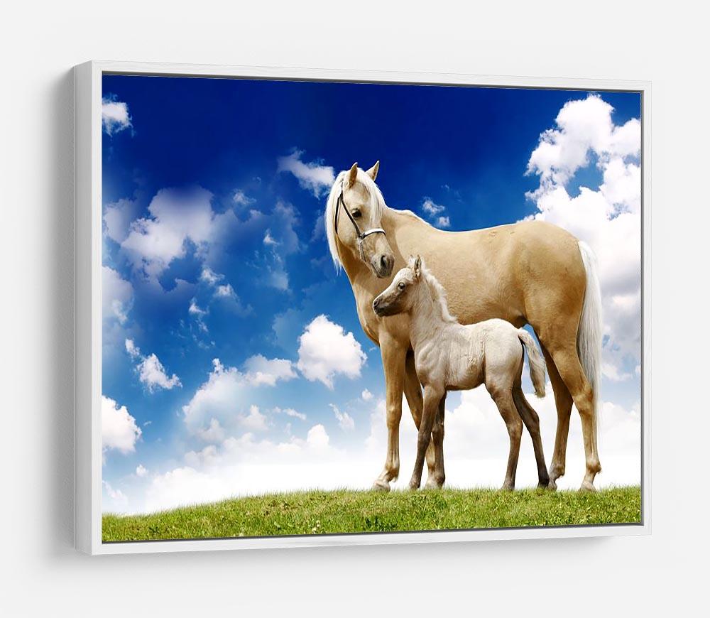 Palomino horses on grey gradient HD Metal Print - Canvas Art Rocks - 7