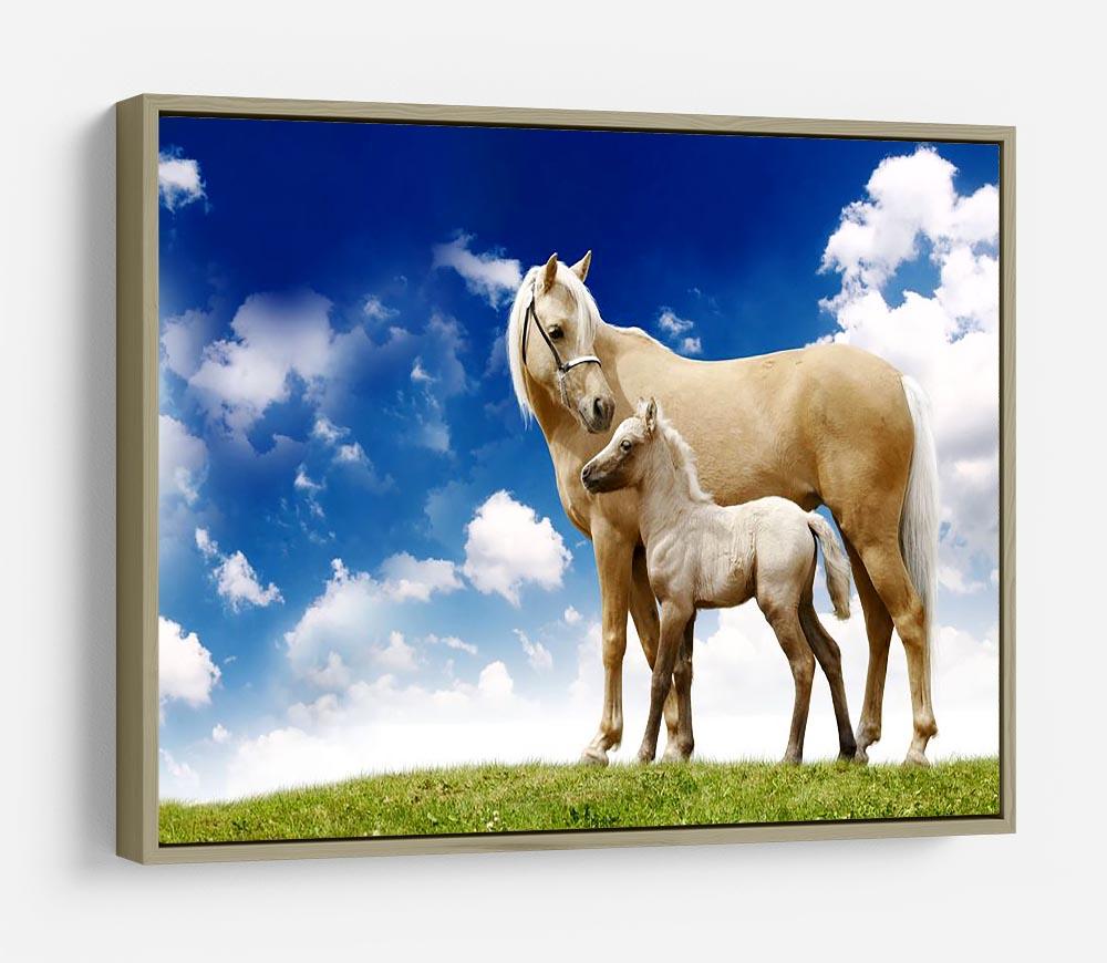 Palomino horses on grey gradient HD Metal Print - Canvas Art Rocks - 8