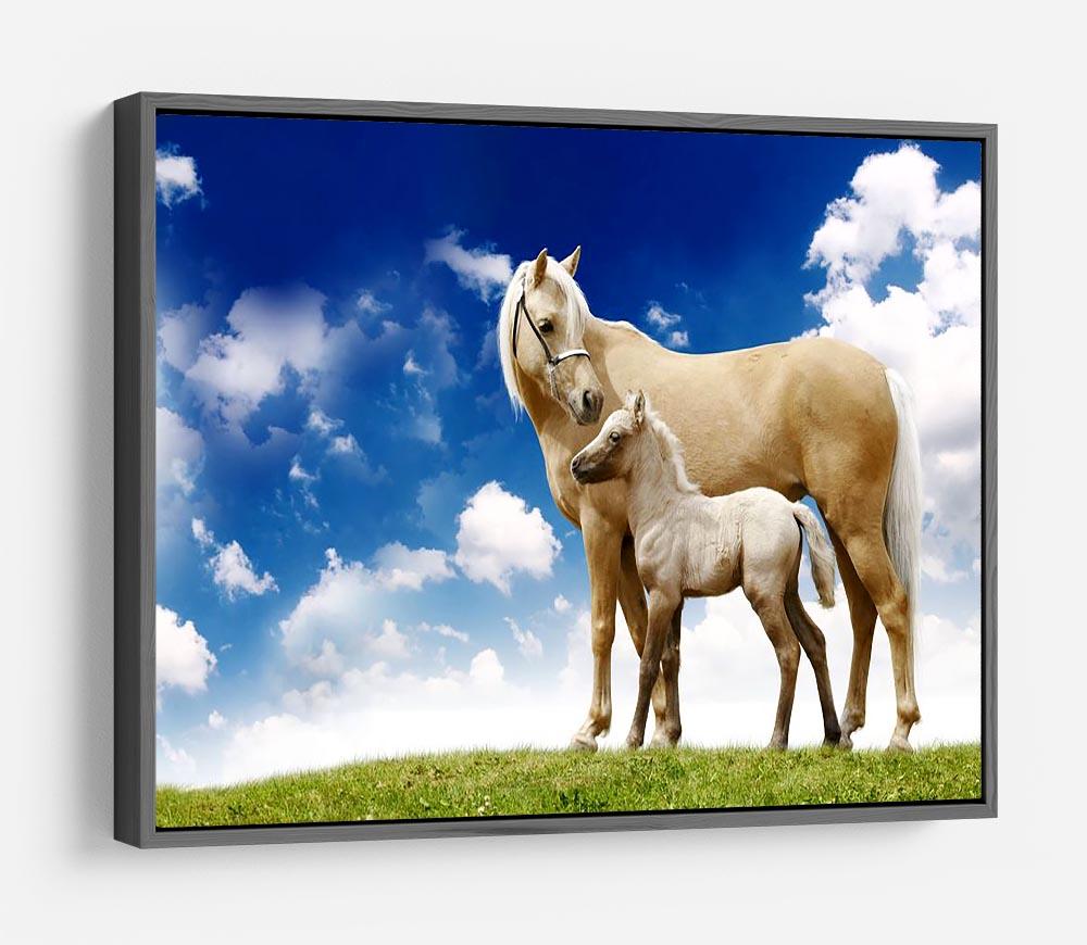 Palomino horses on grey gradient HD Metal Print - Canvas Art Rocks - 9