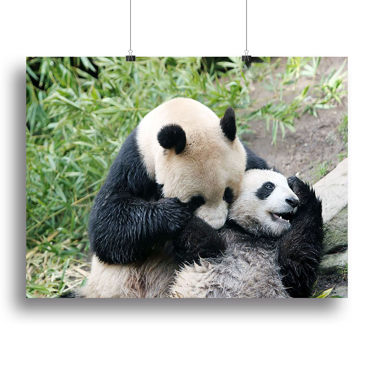 Panda bear and her cub Canvas Print or Poster - Canvas Art Rocks - 2