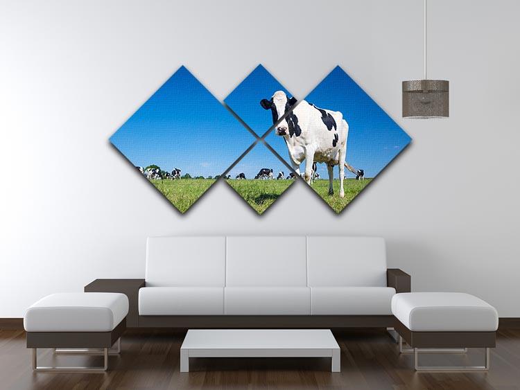 Panoramic view of black and white cow 4 Square Multi Panel Canvas - Canvas Art Rocks - 3