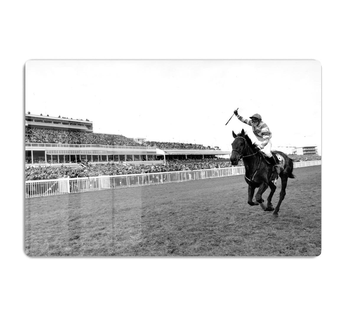 Party Politics romps home in the Grand National HD Metal Print - Canvas Art Rocks - 1
