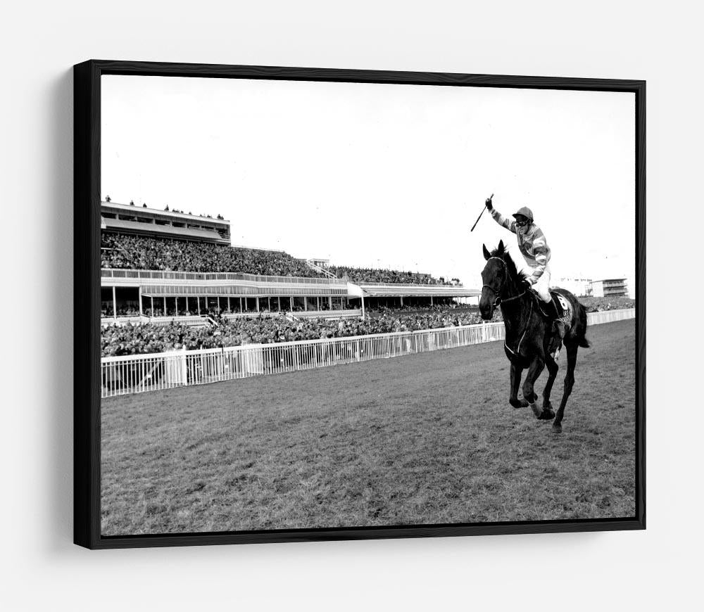 Party Politics romps home in the Grand National HD Metal Print - Canvas Art Rocks - 6
