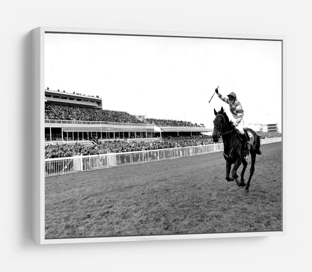 Party Politics romps home in the Grand National HD Metal Print - Canvas Art Rocks - 7