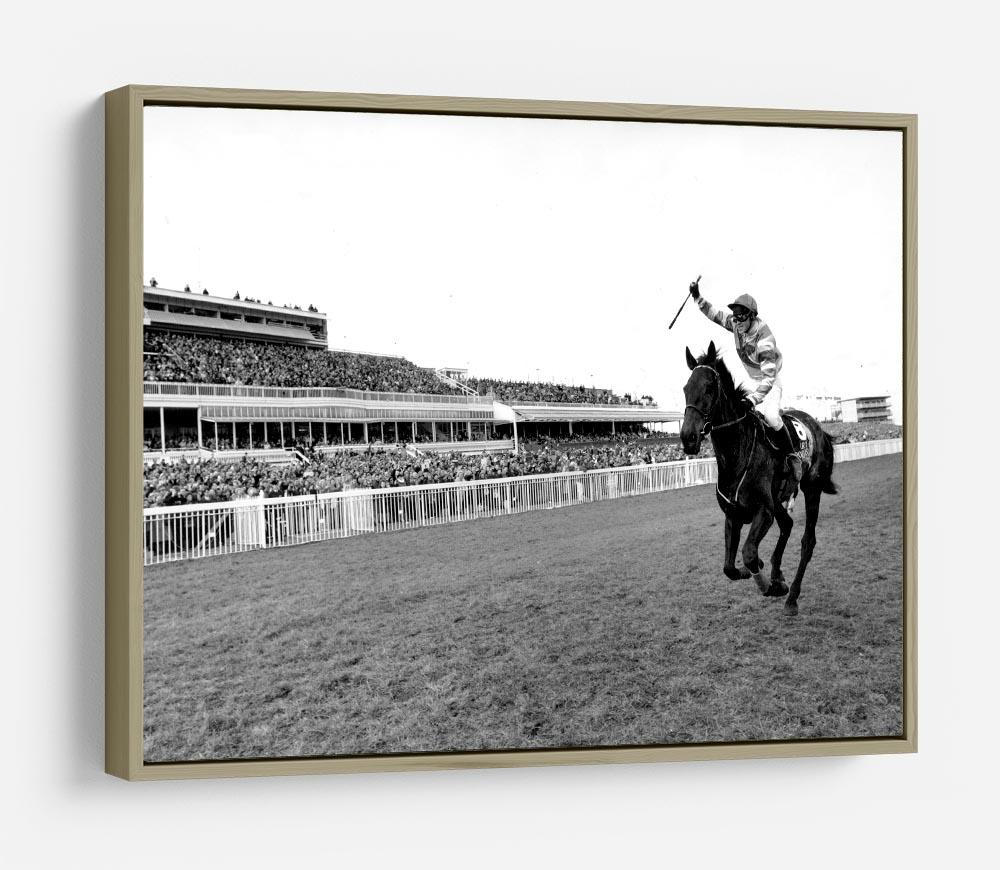 Party Politics romps home in the Grand National HD Metal Print - Canvas Art Rocks - 8