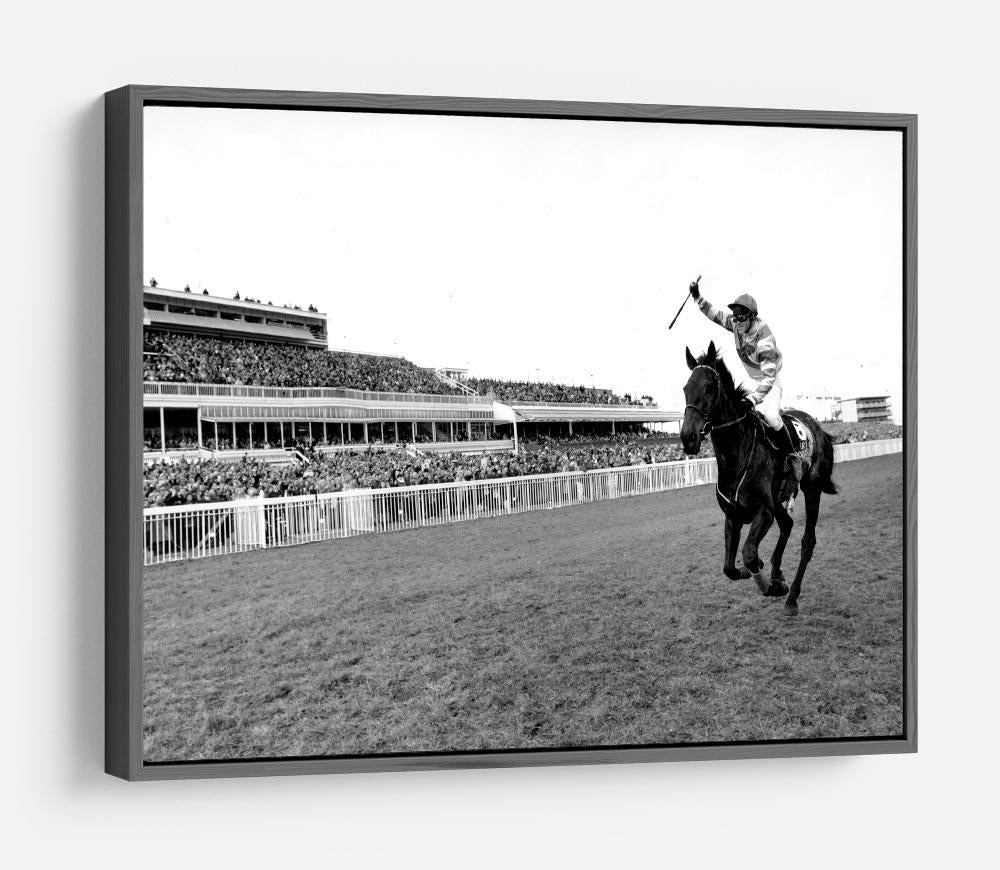 Party Politics romps home in the Grand National HD Metal Print - Canvas Art Rocks - 9