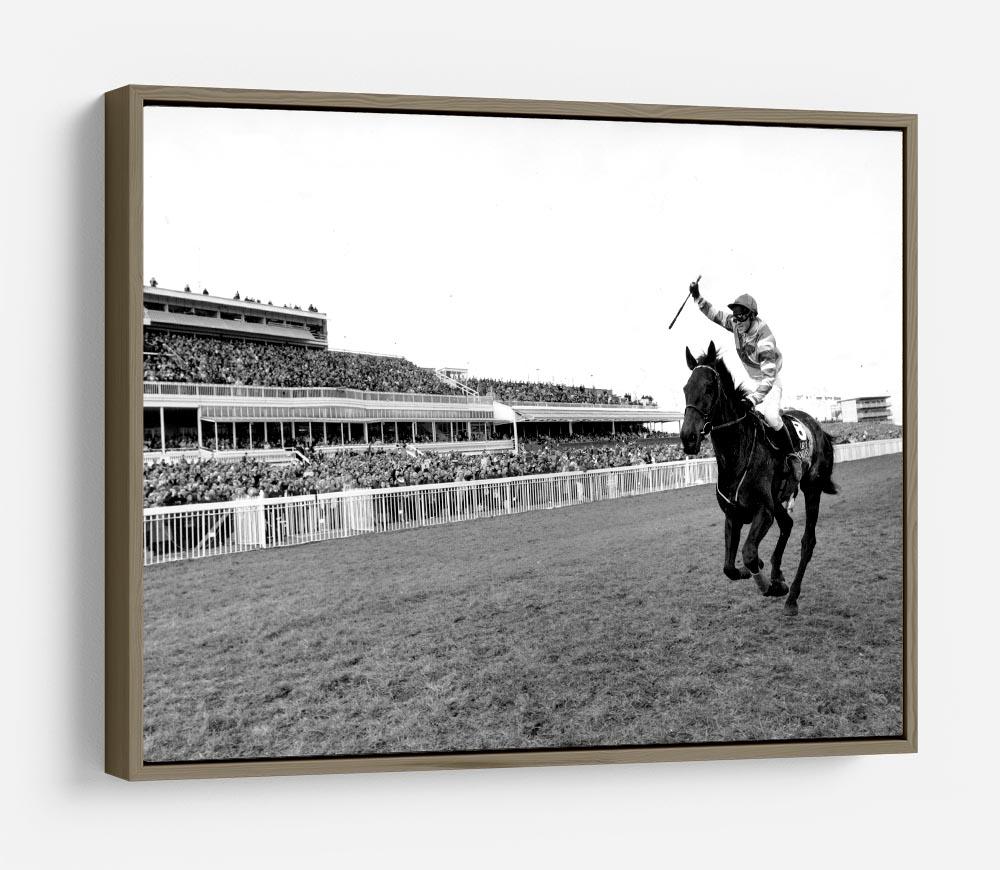 Party Politics romps home in the Grand National HD Metal Print - Canvas Art Rocks - 10
