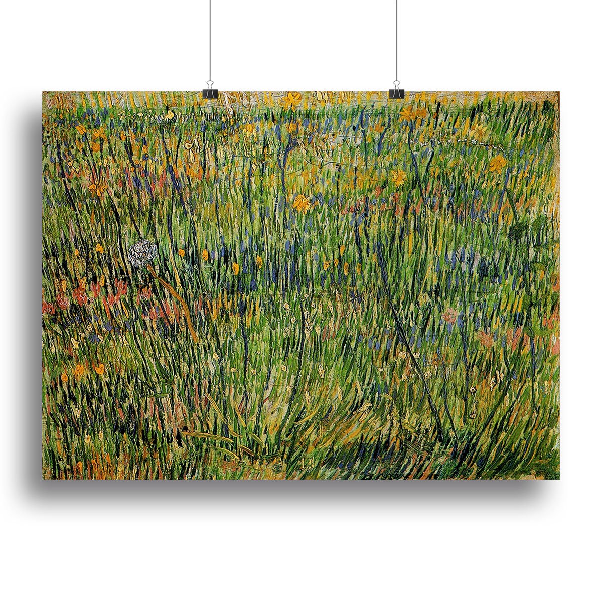 Pasture in Bloom by Van Gogh Canvas Print or Poster