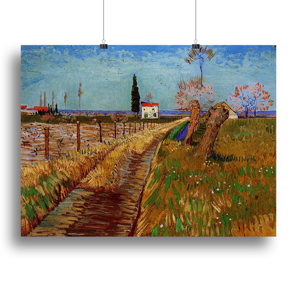 Path Through a Field with Willows by Van Gogh Canvas Print or Poster