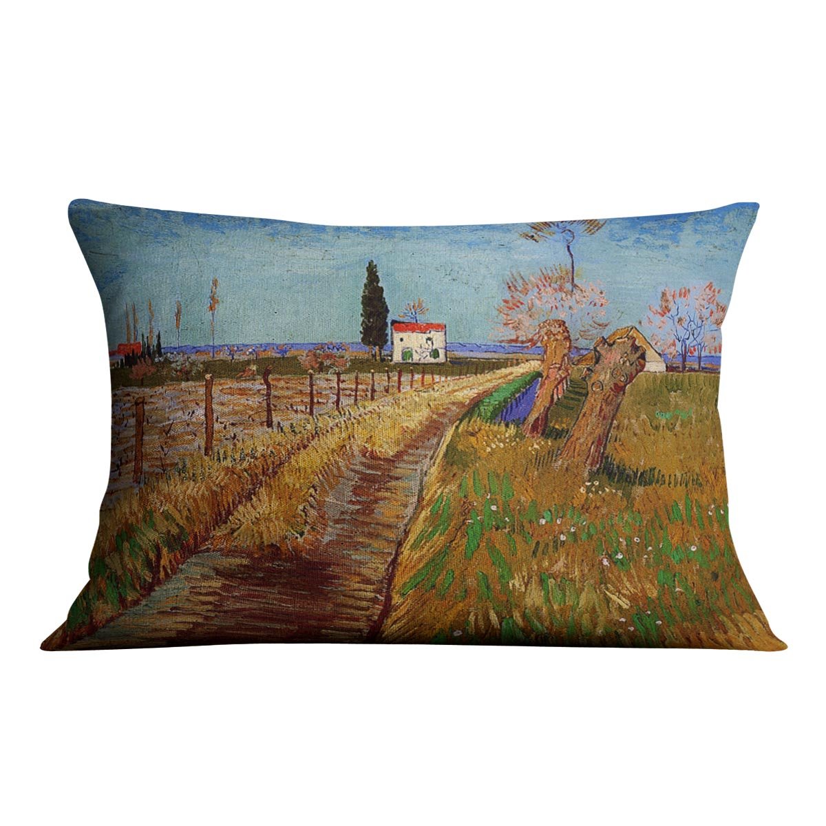 Path Through a Field with Willows by Van Gogh Throw Pillow