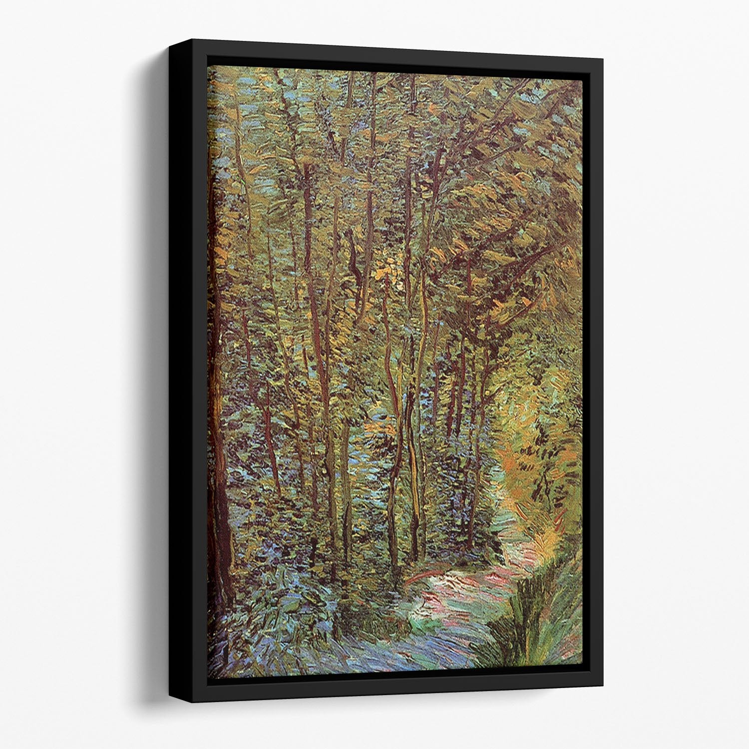 Path in the Woods by Van Gogh Floating Framed Canvas