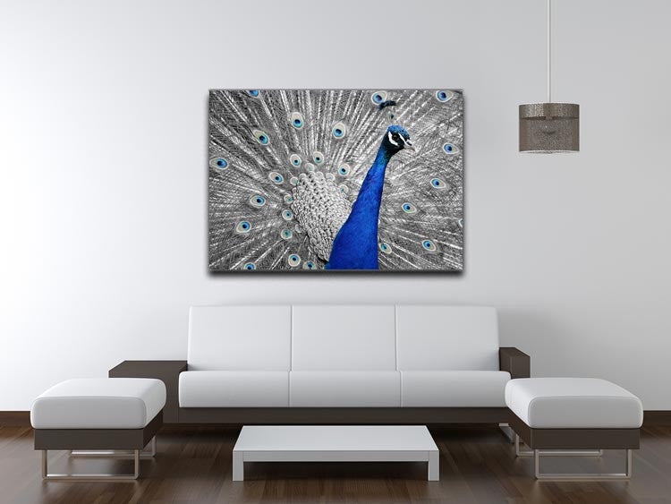 Peacock Print - Canvas Art Rocks - 4