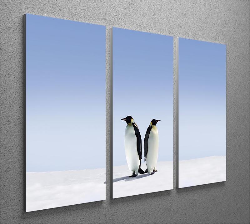 Penguins dont know where to go 3 Split Panel Canvas Print - Canvas Art Rocks - 2
