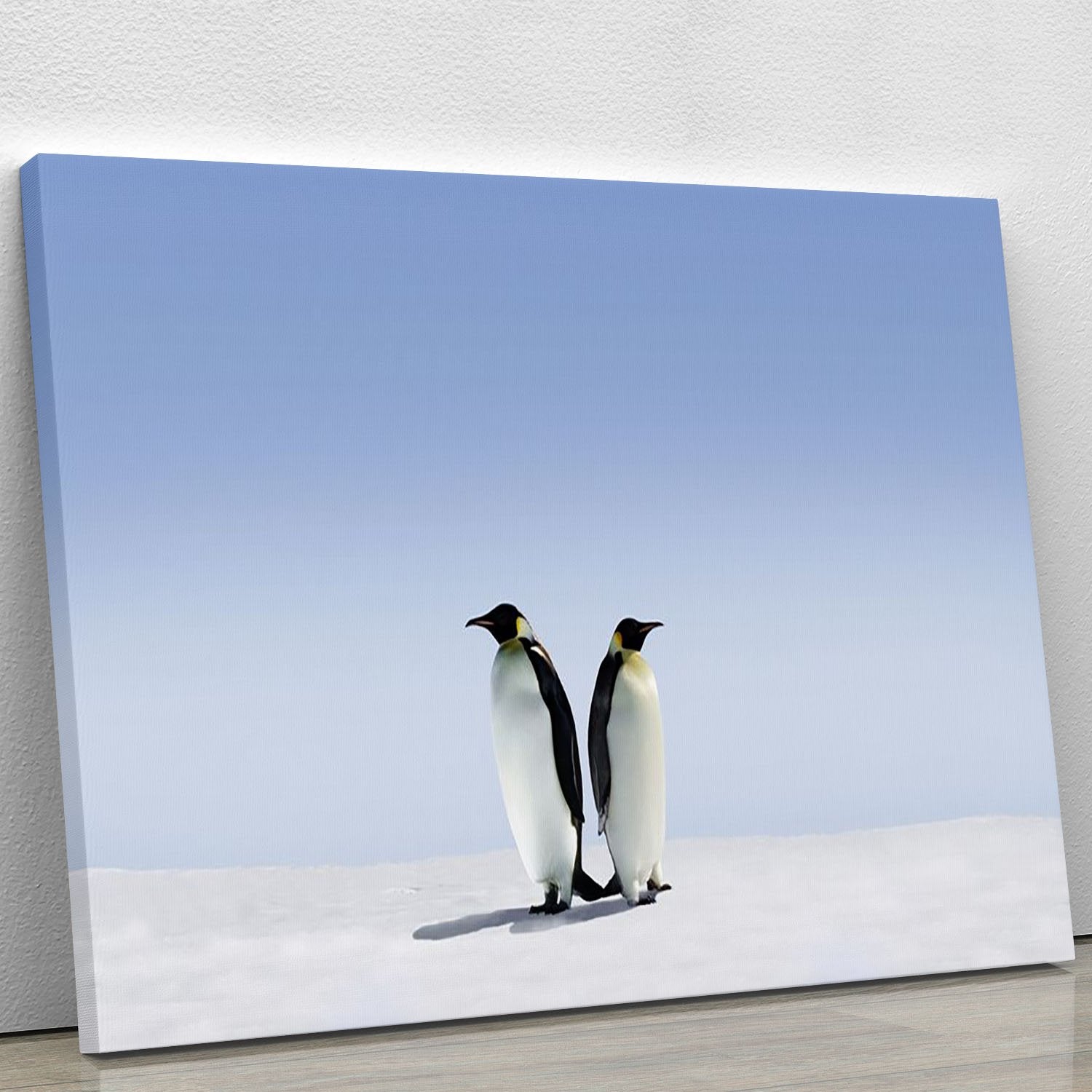 Penguins dont know where to go Canvas Print or Poster